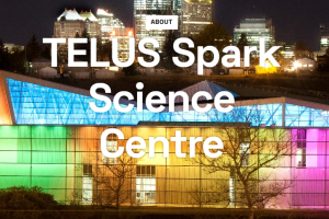 Screenshot 2026-03-11 141229