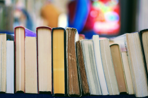 Your paragraph text (29)